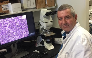 The University of South Carolina's Hippokratis Kiaris at work in his laboratory.